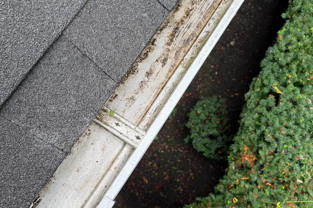 Gutter Cleaning after — Glenview IL 2-story house