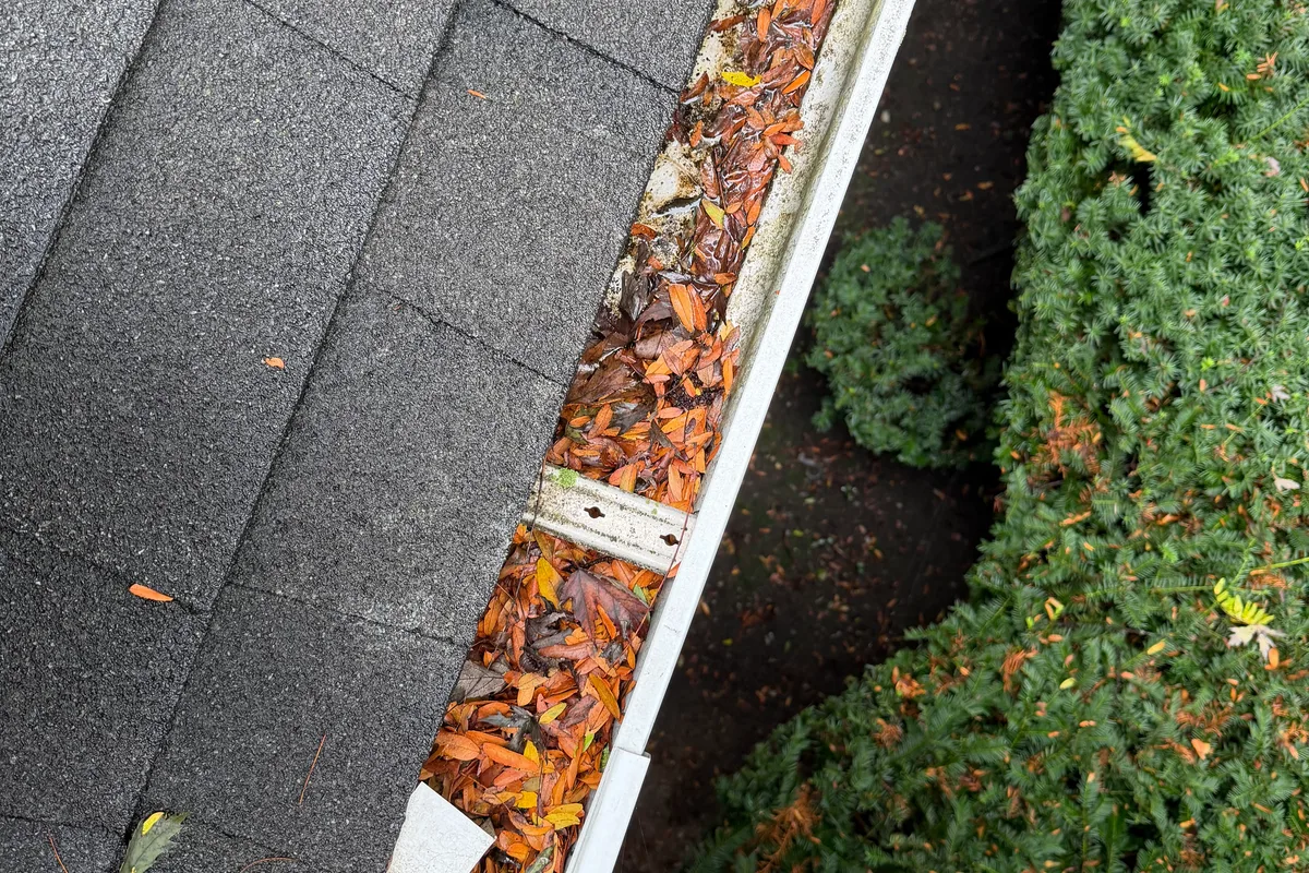 Gutter Cleaning before — Glenview IL 2-story house