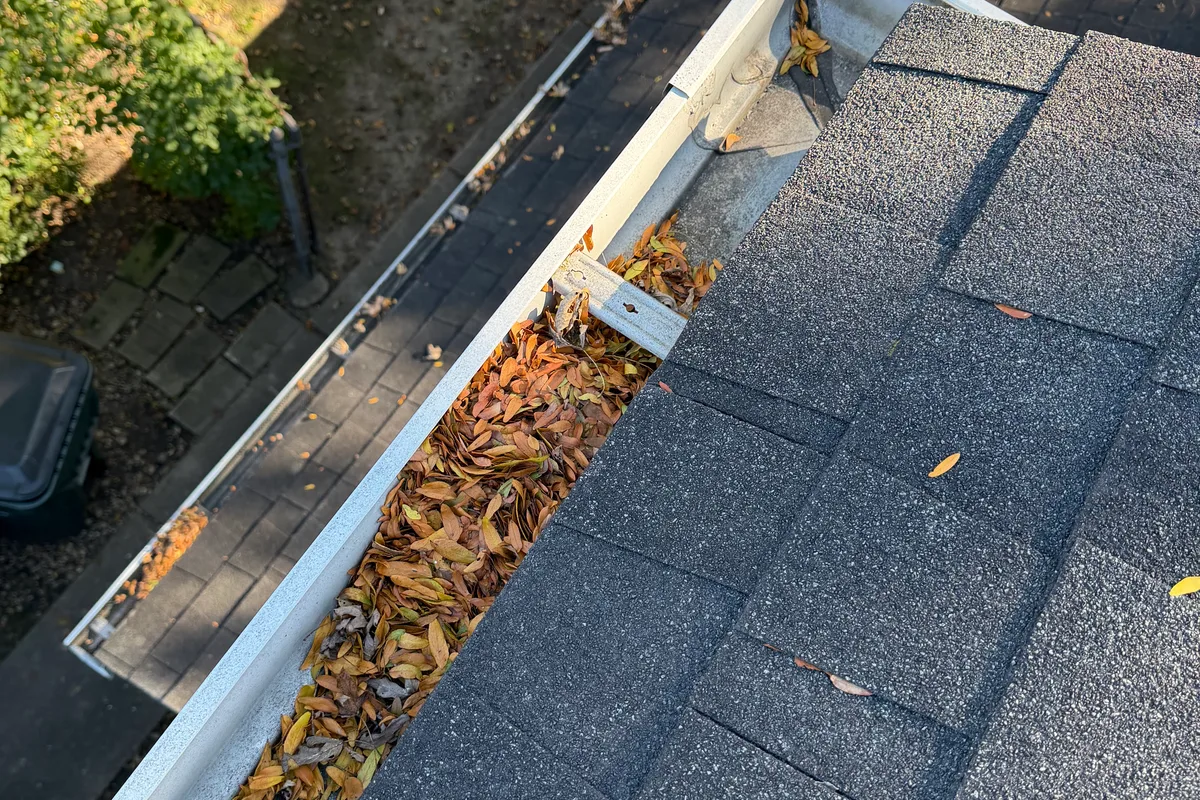 Gutter Cleaning before — Glenview IL 2-story house