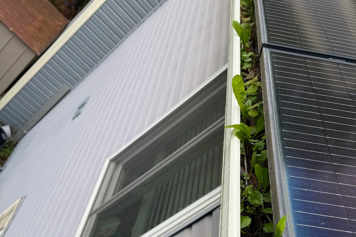 Gutter Cleaning before — Grayslake IL 2-story house