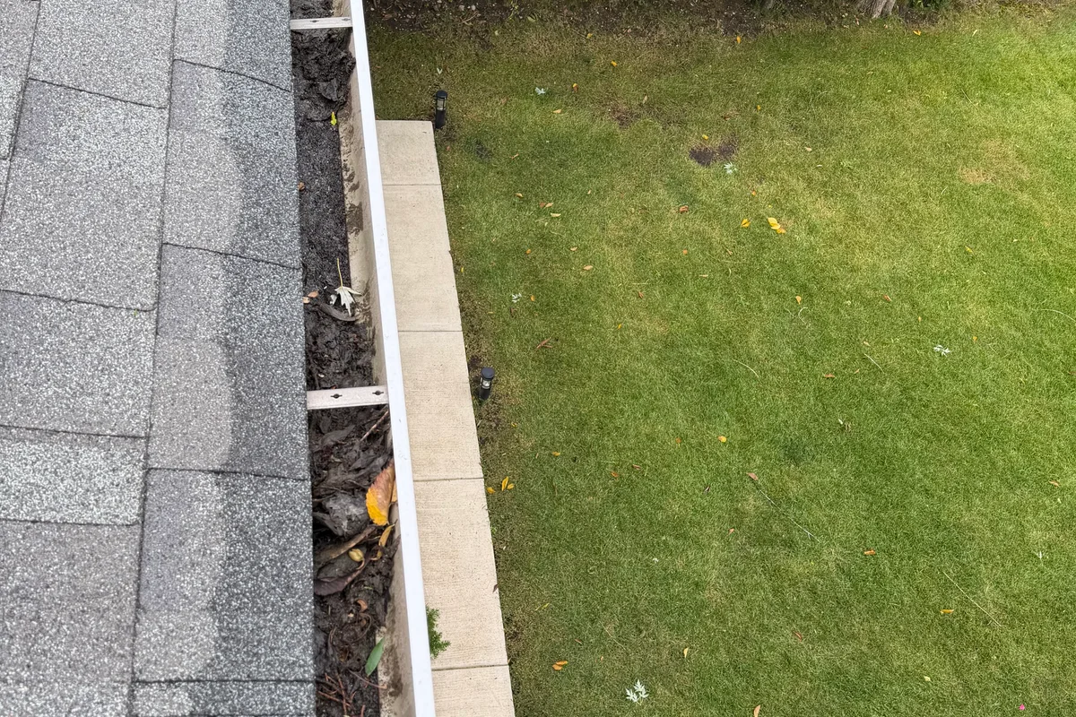 Gutter Cleaning before — Highland Park IL 2-story house