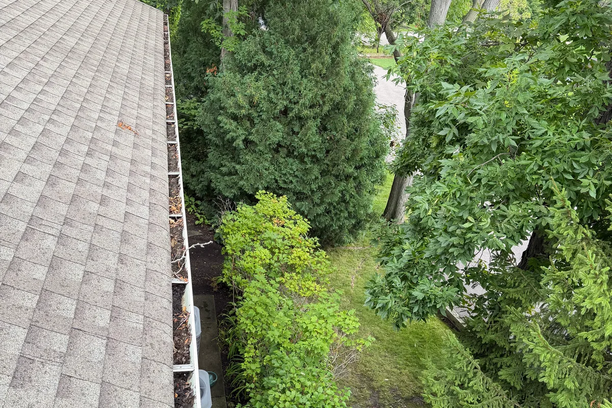 Gutter Cleaning before — Highland Park IL 2-story house