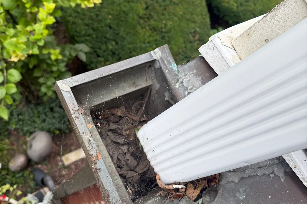 Gutter Cleaning before — Hinsdale IL 2-story house
