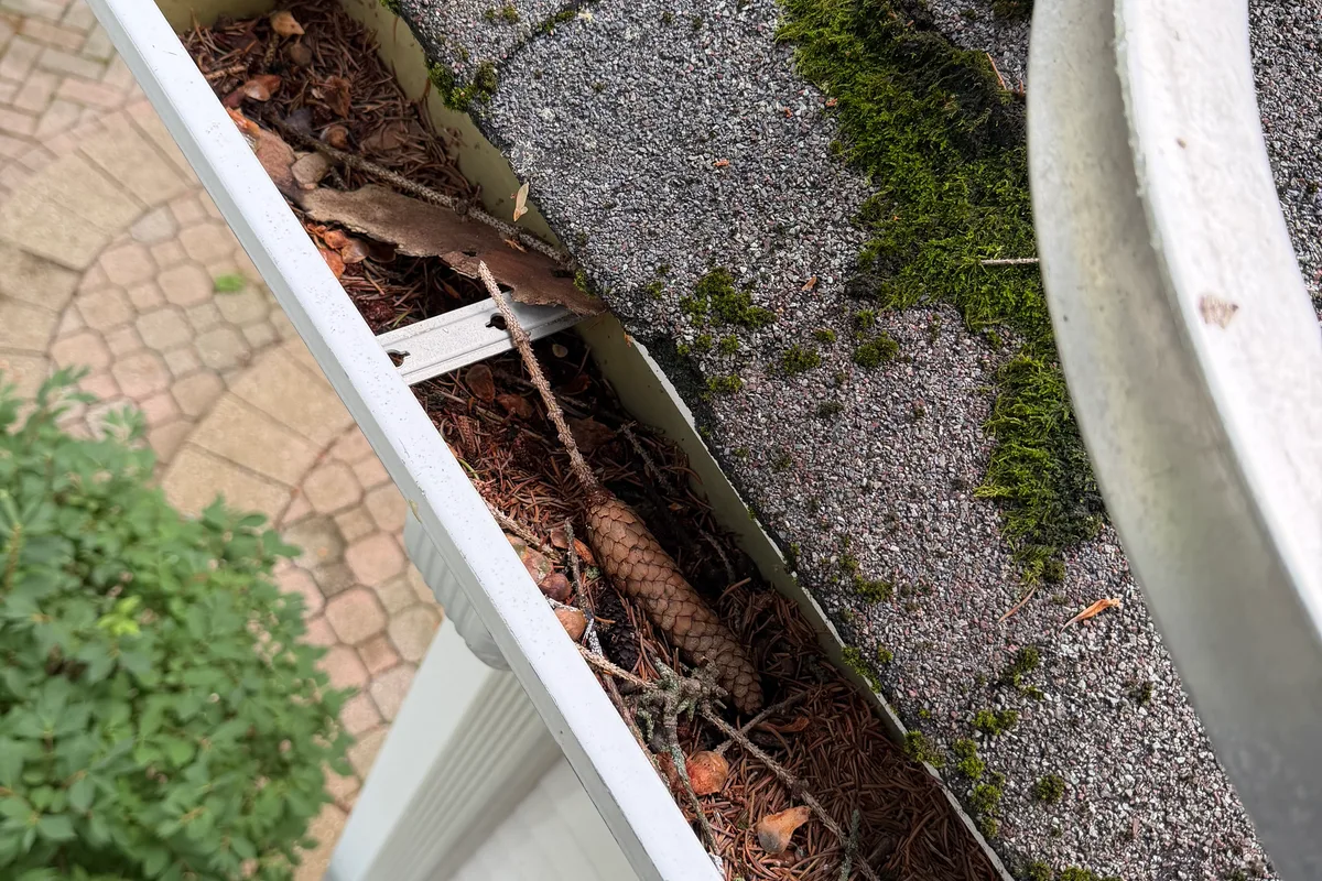 Gutter Cleaning before — Lake Bluff IL 2-story house