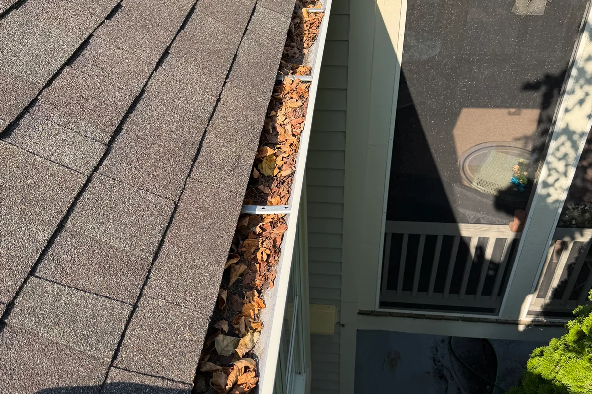 Gutter Cleaning before — Lake in the Hills IL 2-story house