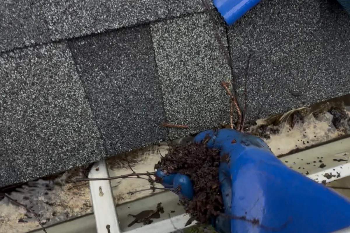 Gutter Cleaning — Lake Villa, IL