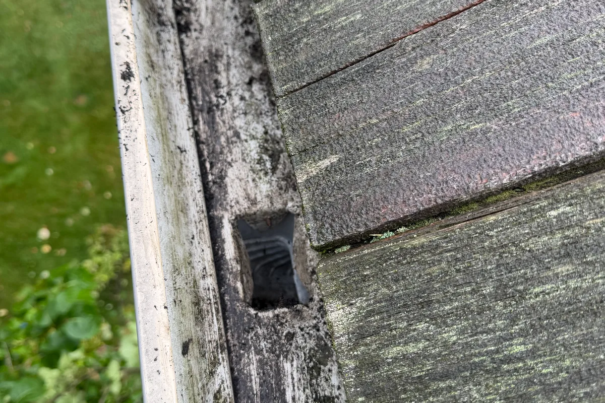 Gutter Cleaning after — Libertyville IL 2-story house