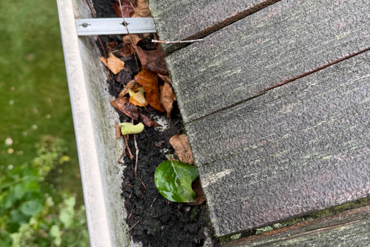 Gutter Cleaning before — Libertyville IL 2-story house