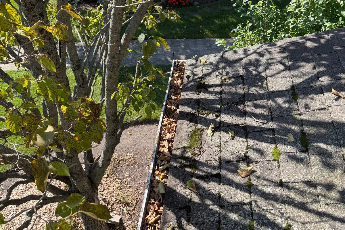 Gutter Cleaning before — Libertyville IL 2-story house