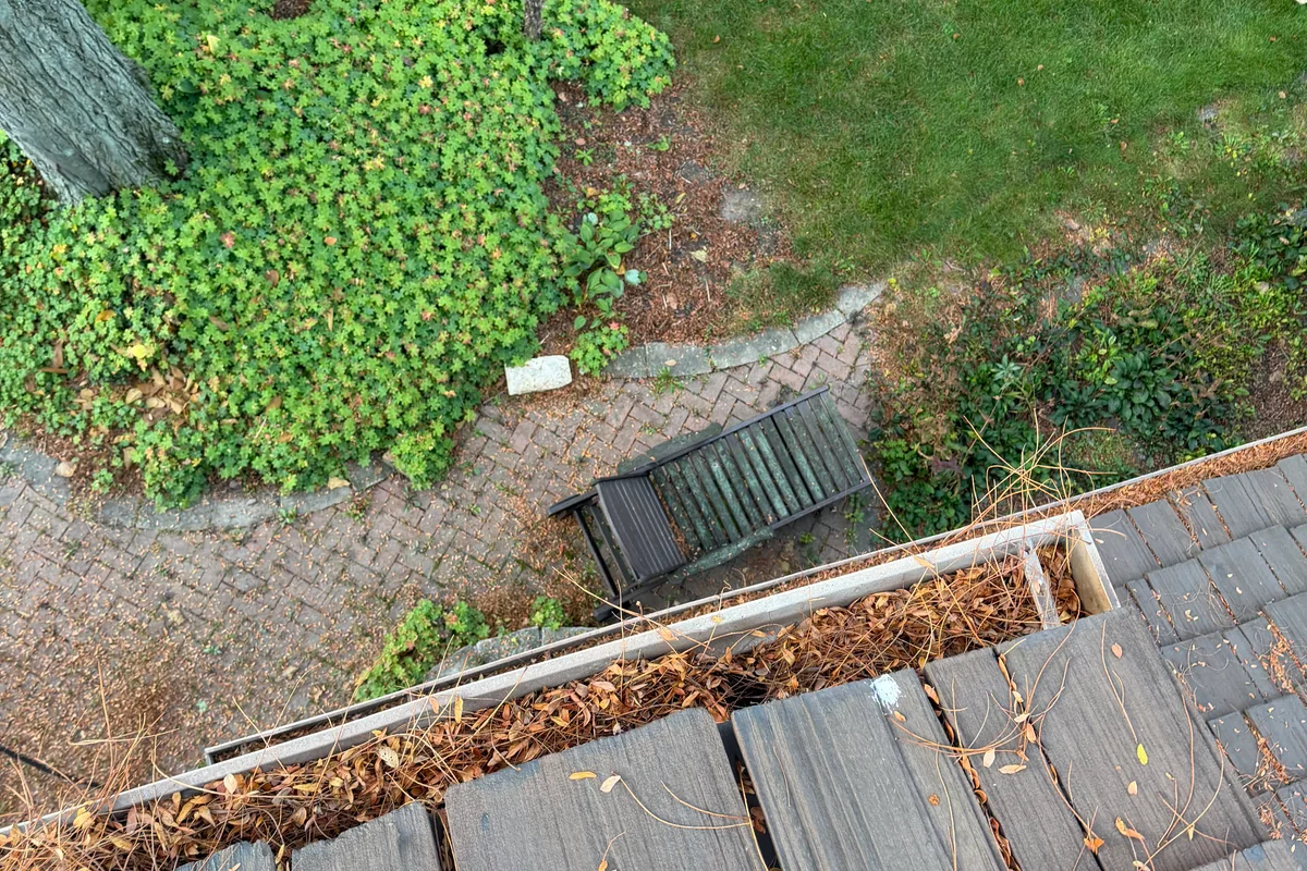 Gutter Cleaning before — Libertyville IL 2-story house