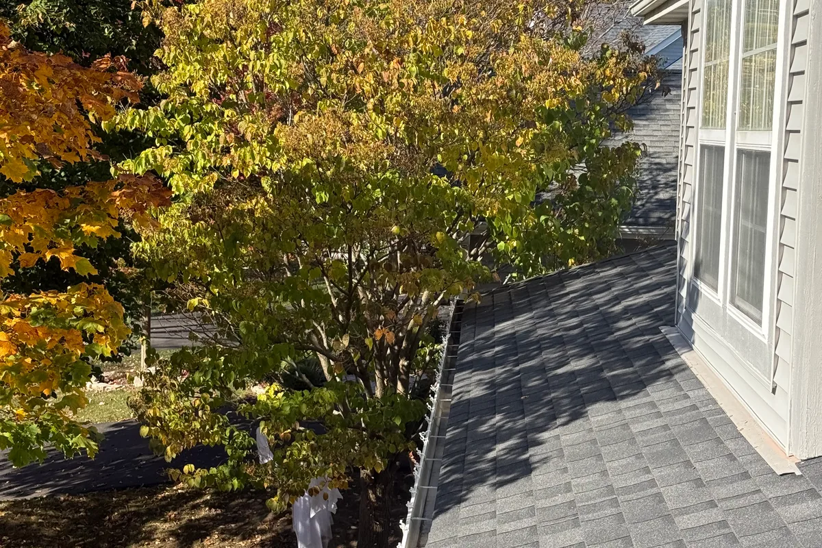 Gutter Cleaning — Lindenhurst, IL