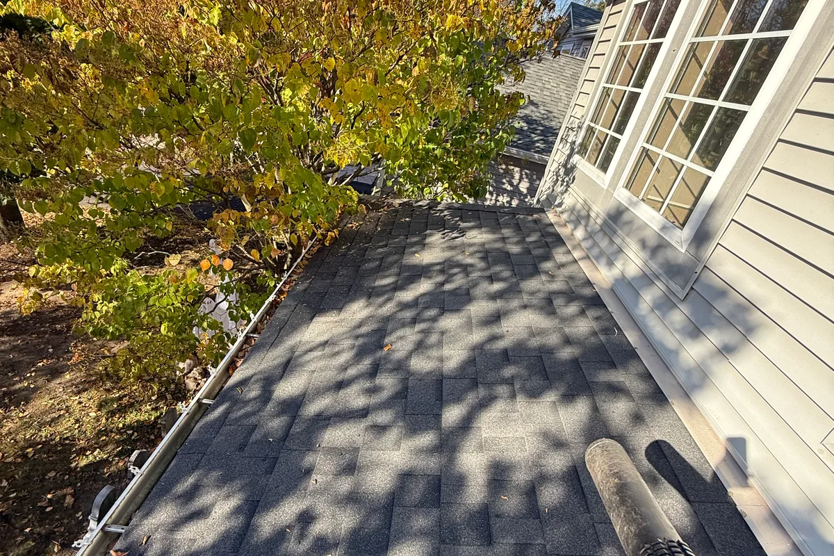 Gutter Cleaning before — Lindenhurst IL 2-story house