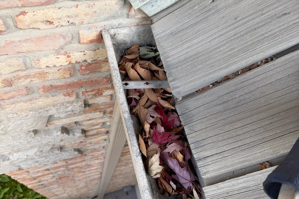 Gutter Cleaning before — Long Grove IL 2-story house