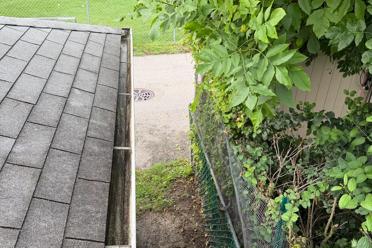 Gutter Cleaning after — Morton Grove IL 1-story house