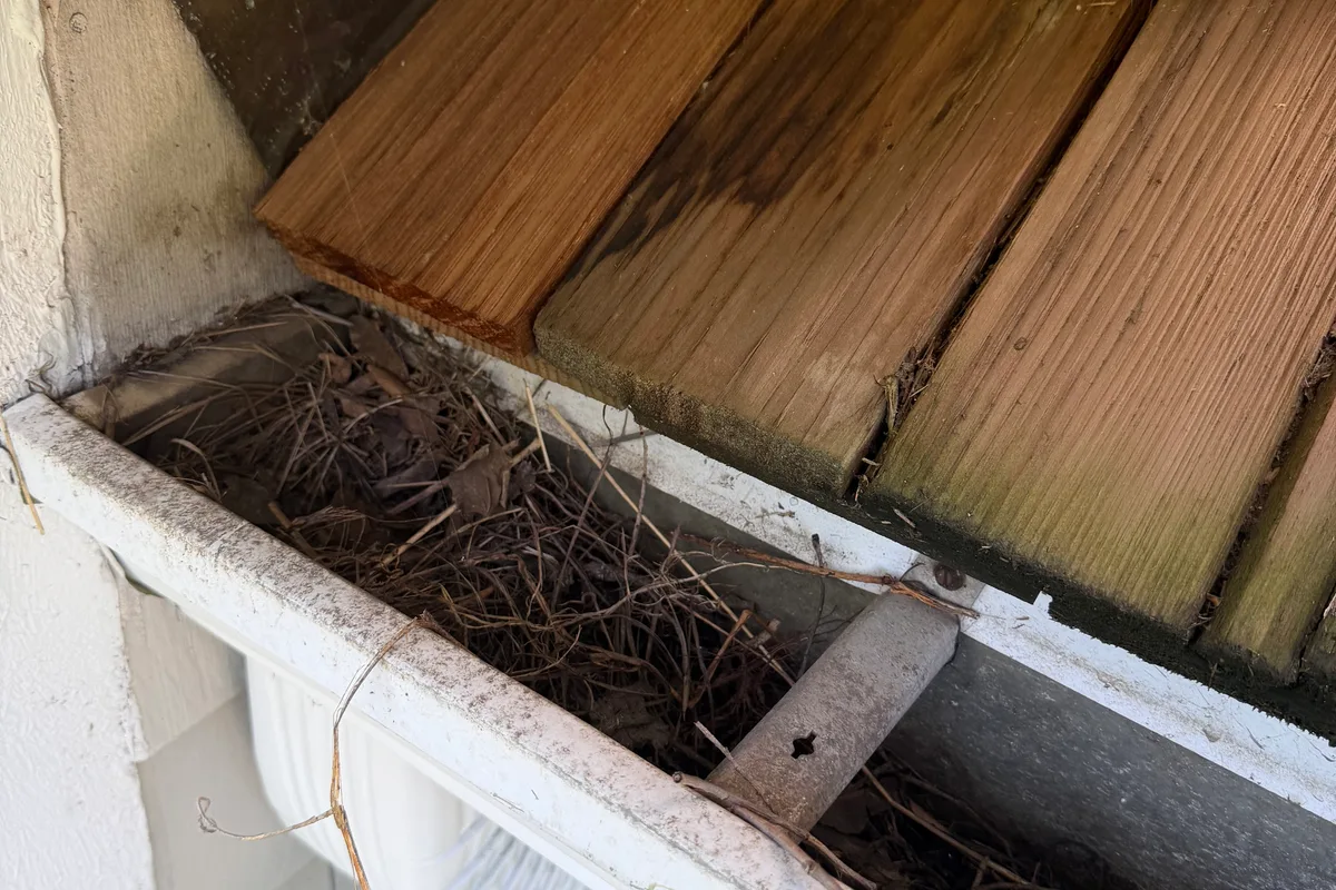 Gutter Cleaning before — Northbrook IL 2-story house