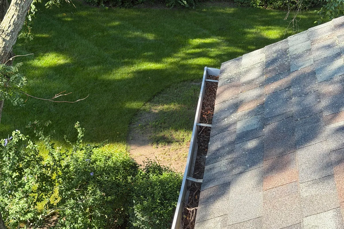 Gutter Cleaning before — Oakwood Hills IL 2-story house