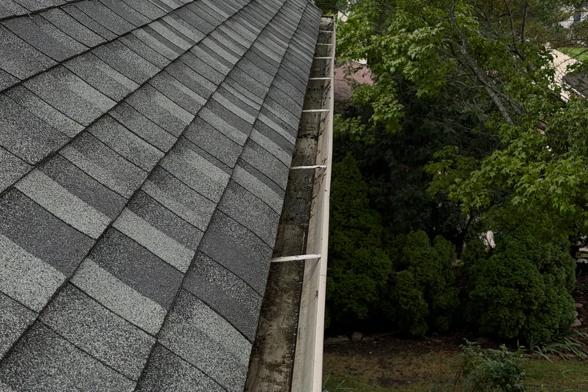 Gutter Cleaning — Palatine, IL