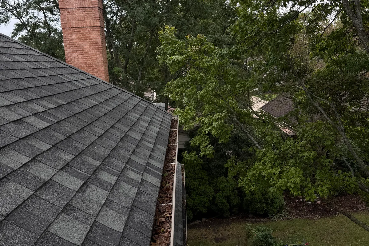 Gutter Cleaning before — Palatine IL 2-story house