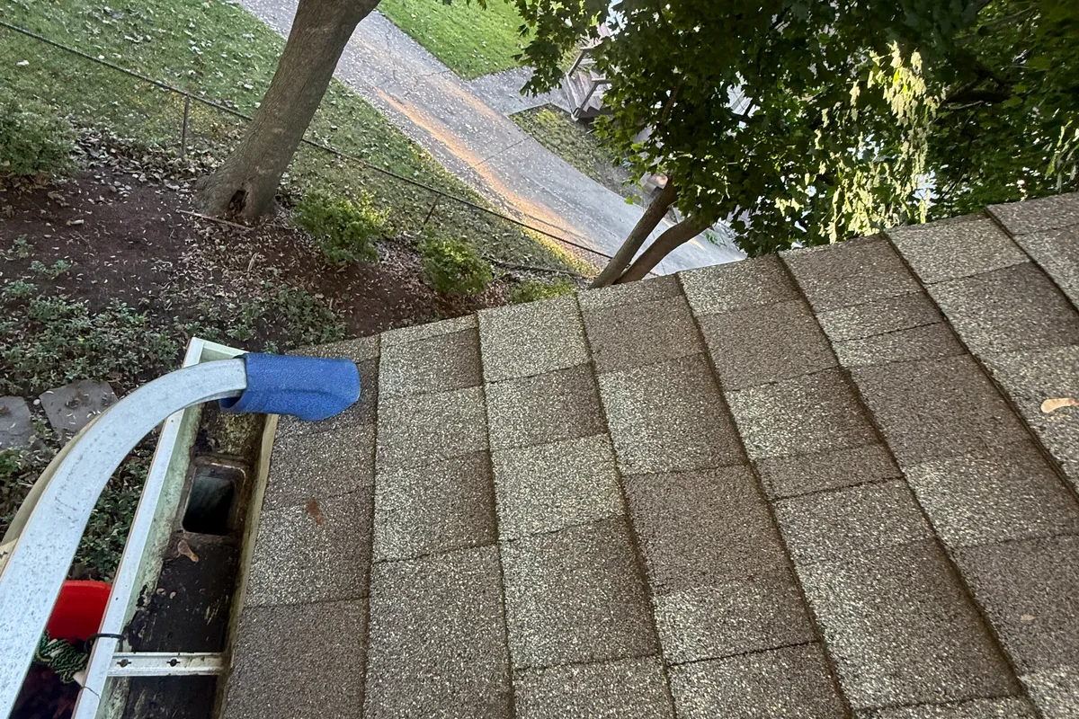 Gutter Cleaning after — Palatine IL 2-story house