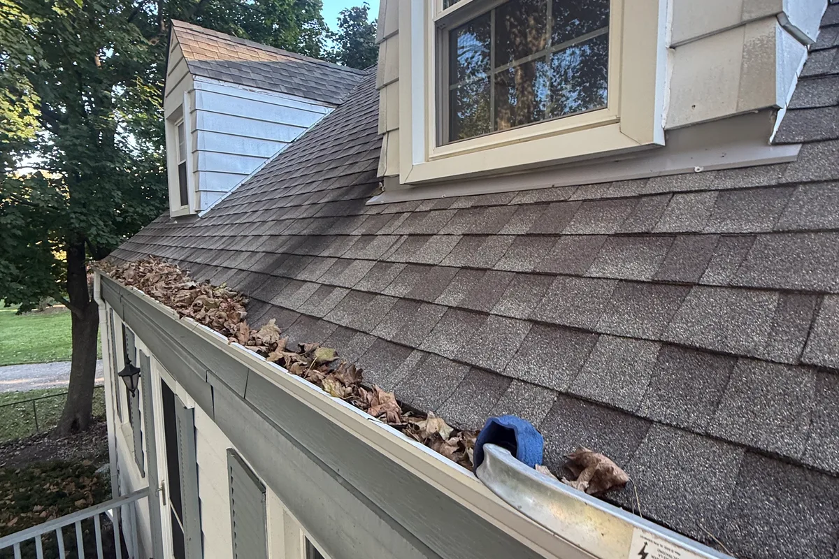 Gutter Cleaning before — Palatine IL 2-story house