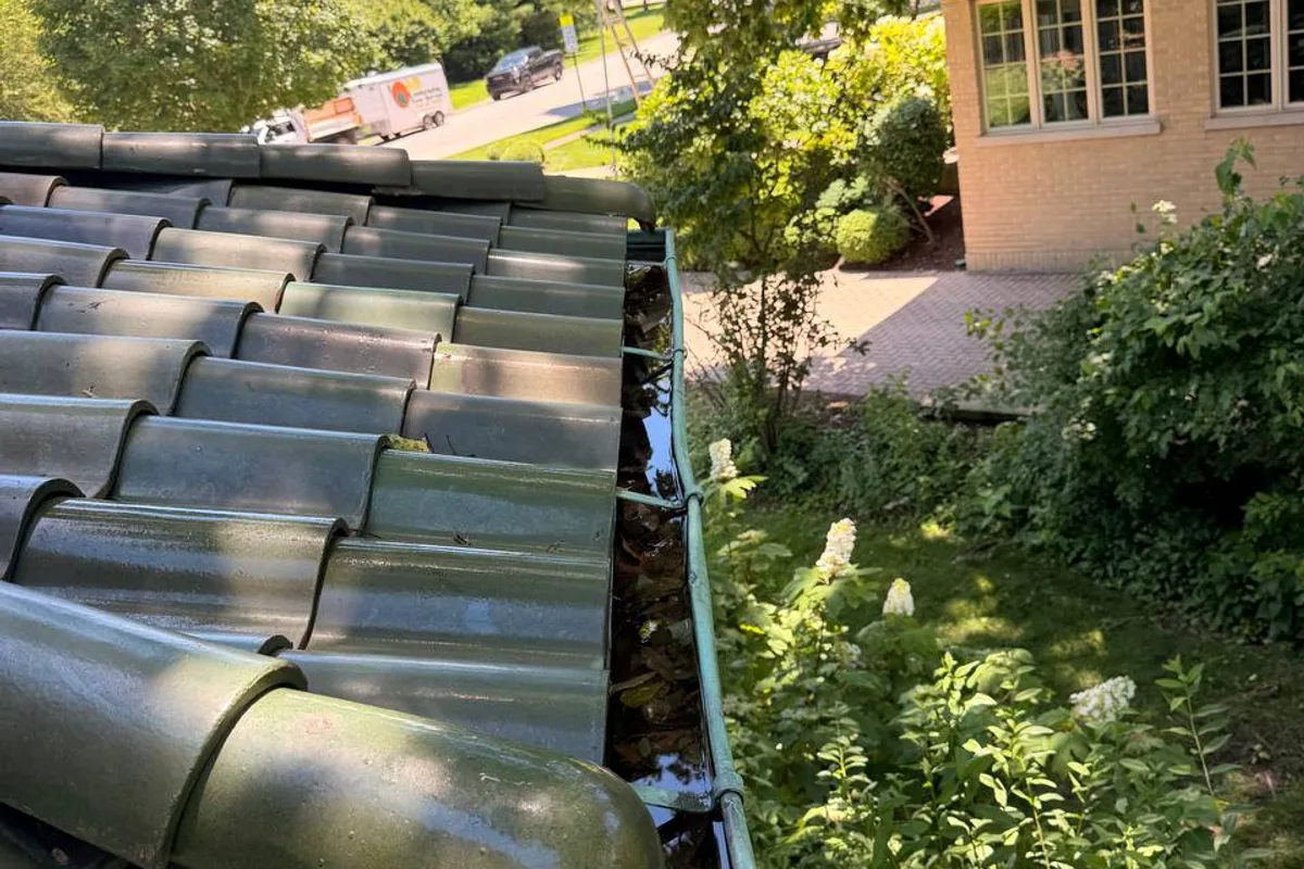 Gutter Cleaning before — Riverside IL 2-story house