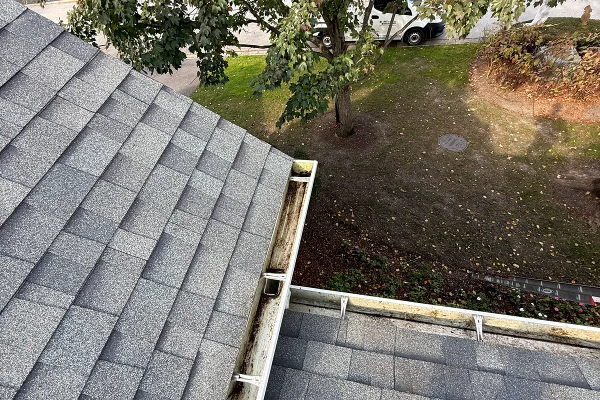 Gutter Cleaning after — Riverwoods IL 2-story house