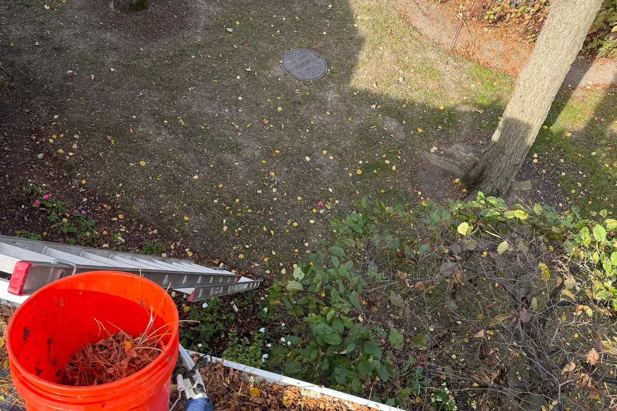 Gutter Cleaning before — Riverwoods IL 2-story house