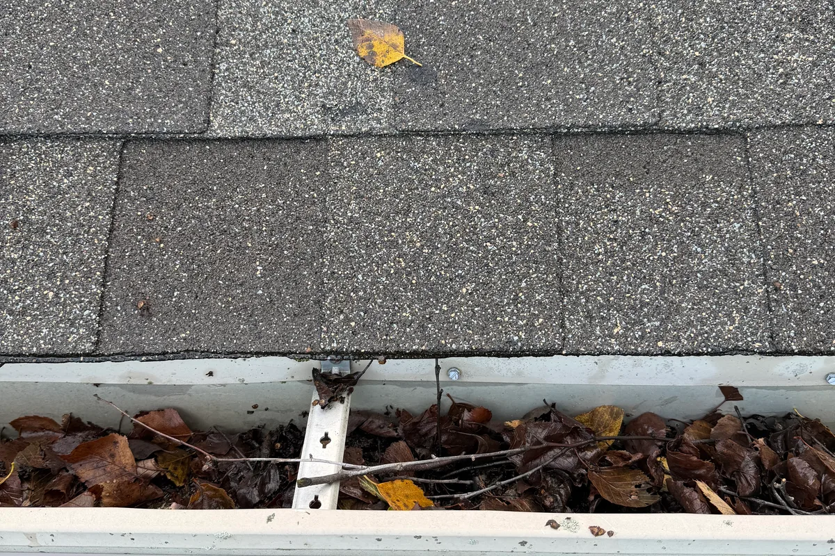 Gutter Cleaning before — Woodstock IL 2-story house