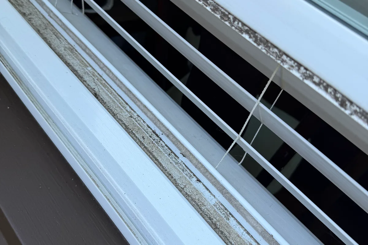 Window Washing before — Arlington Heights IL 1-story house