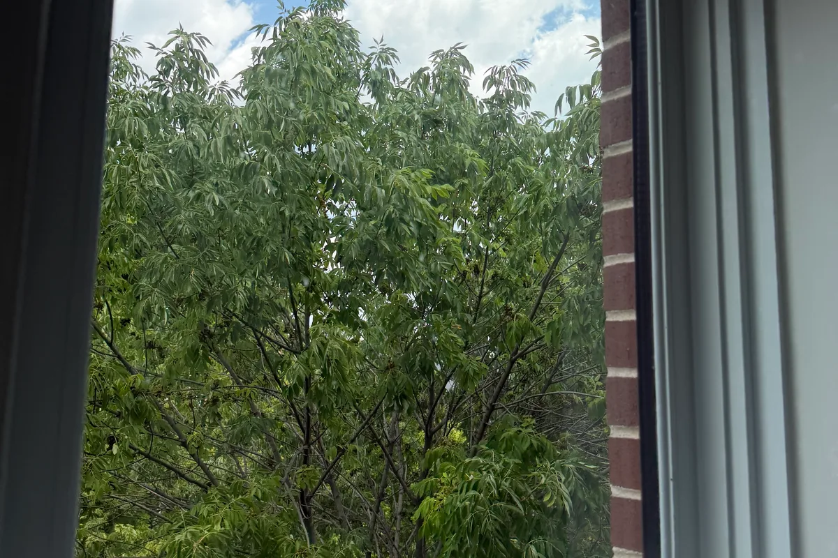 Window Washing before — Chicago IL 3-story house