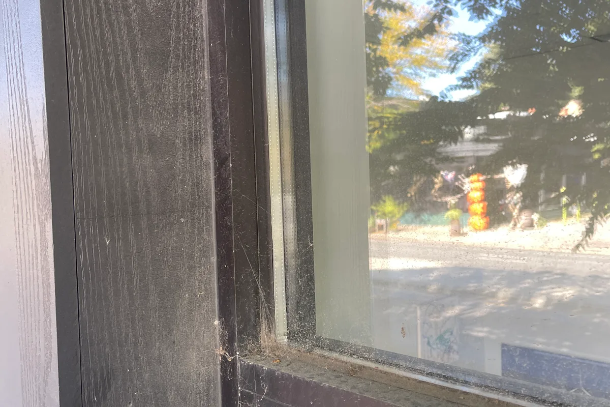Window Washing before — Chicago IL 1-story house