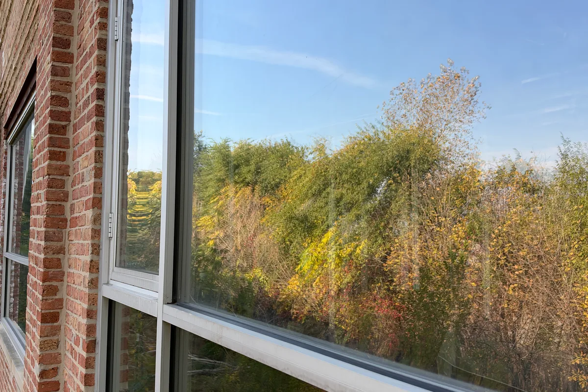 Window Washing — Chicago, IL