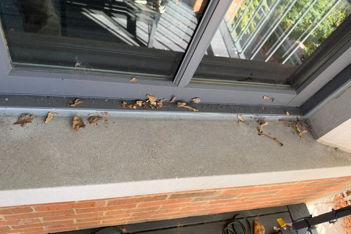 Window Washing before — Chicago IL 2-story house