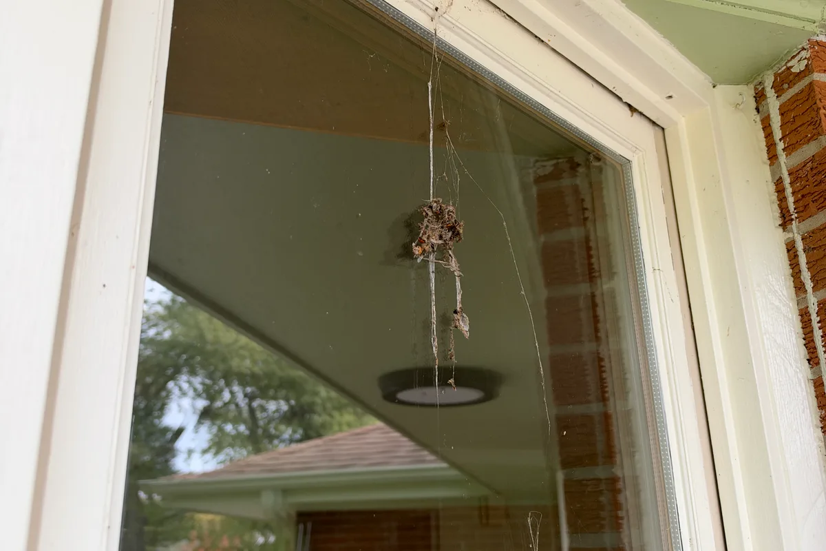 Window Washing before — Crystal Lake IL 1-story house