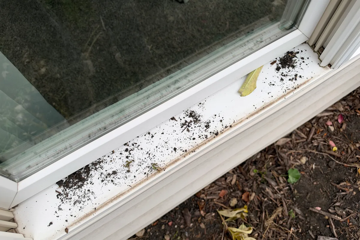 Window Washing before — Crystal Lake IL 2-story house
