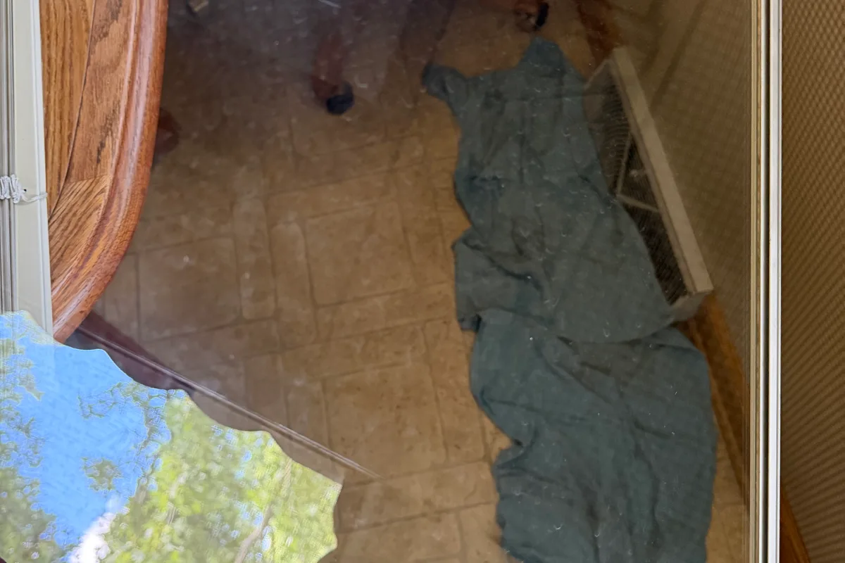 Window Washing before — Elk Grove Village IL 2-story house