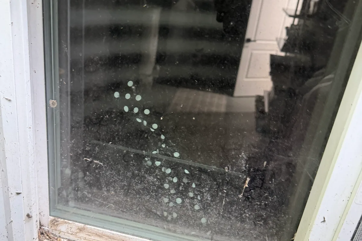 Window Washing before — Elmhurst IL 1-story house