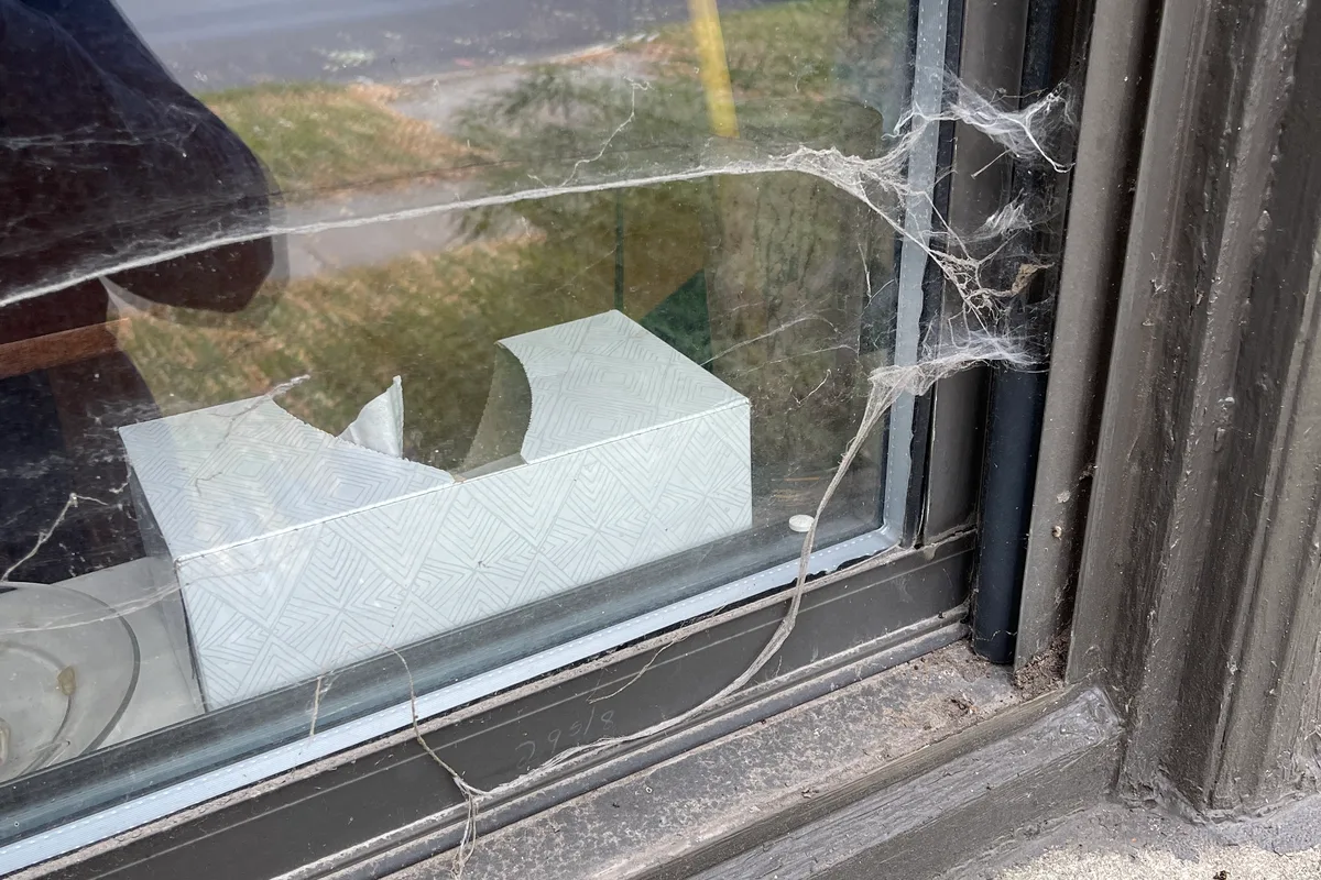 Window Washing before — Evanston IL 2-story house