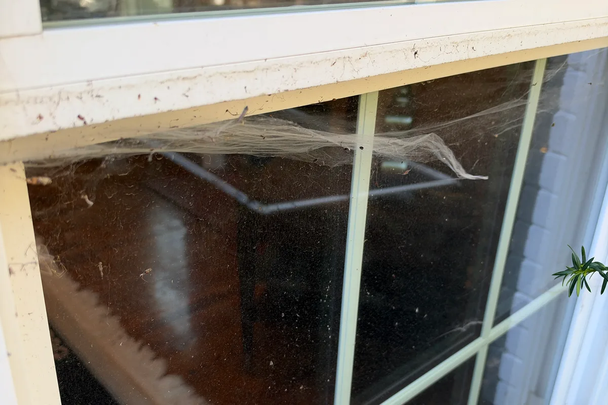 Window Washing before — Evanston IL 2-story house