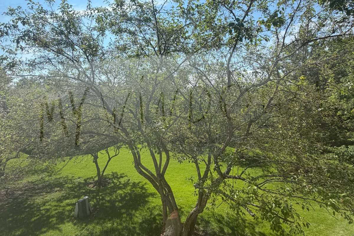 Window Washing before — Grayslake IL 2-story house