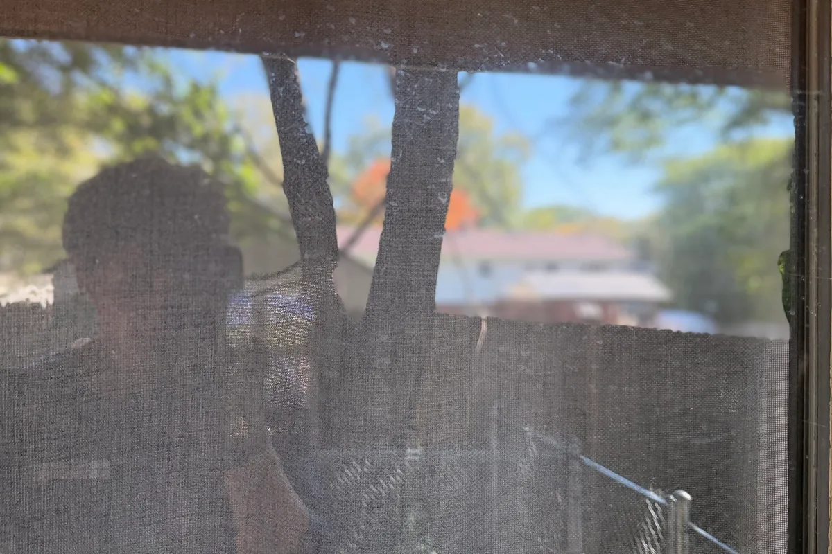Window Washing before — Ingleside IL 1-story house