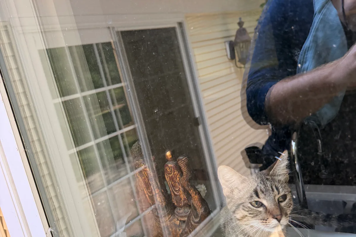 Window Washing before — Lake Forest IL 2-story house