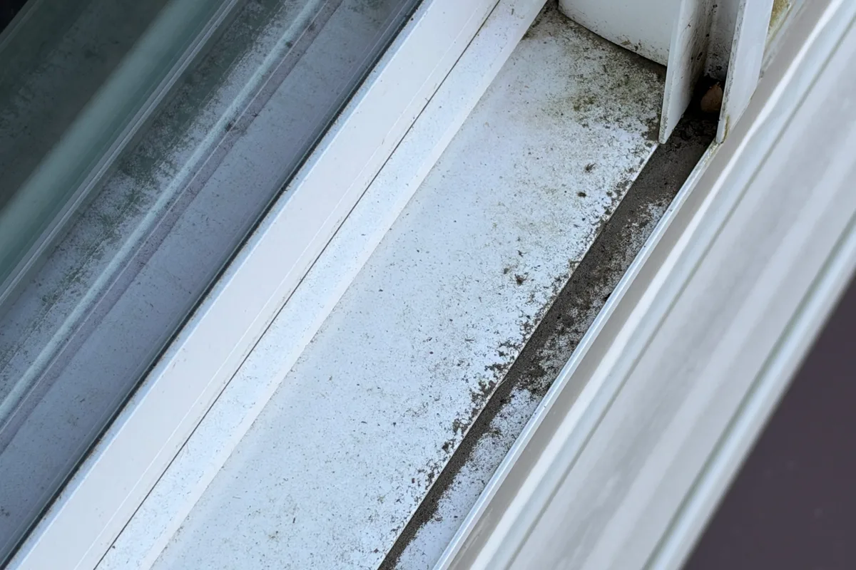 Window Washing before — Lake Villa IL 2-story house