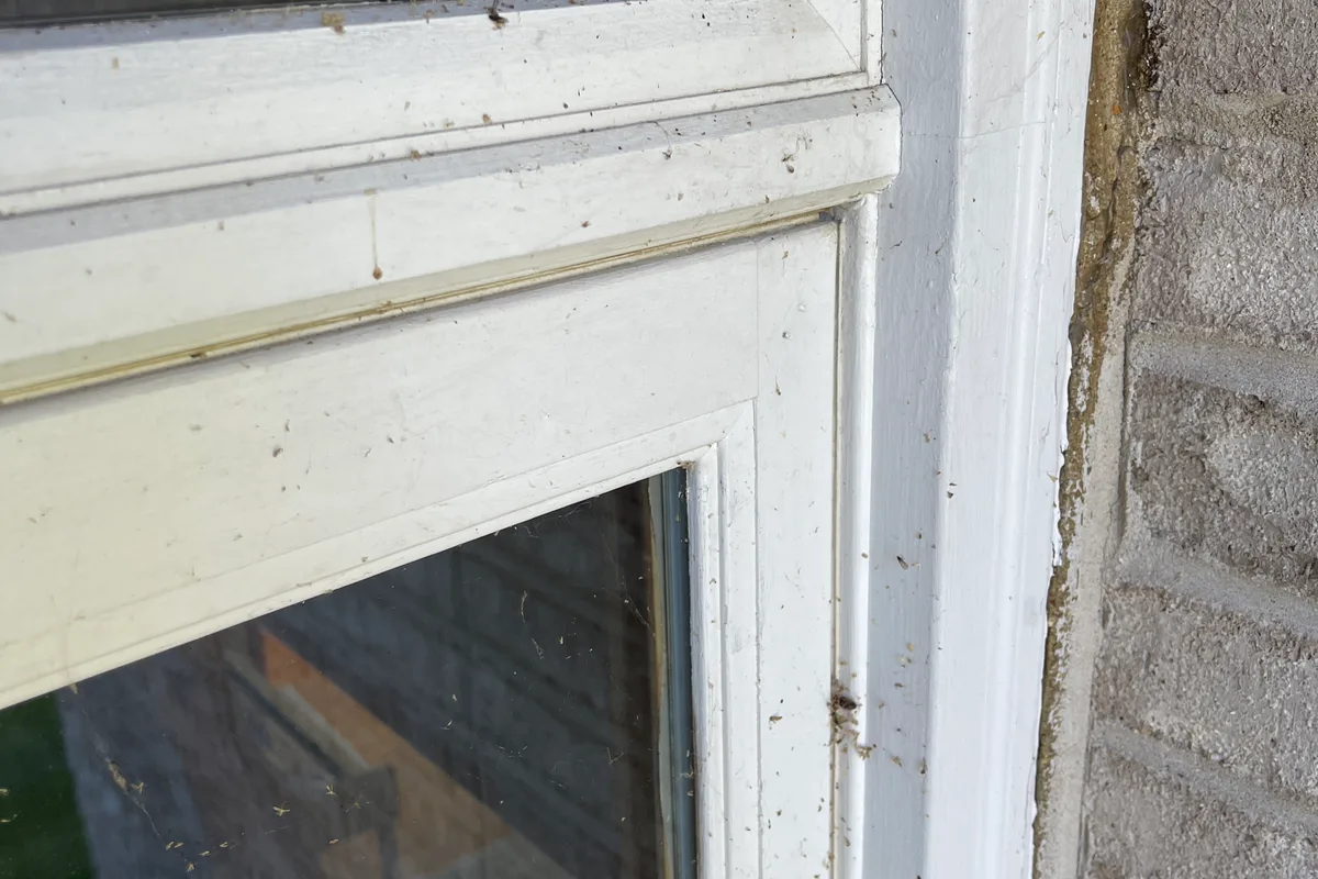 Window Washing before — Naperville IL 2-story house