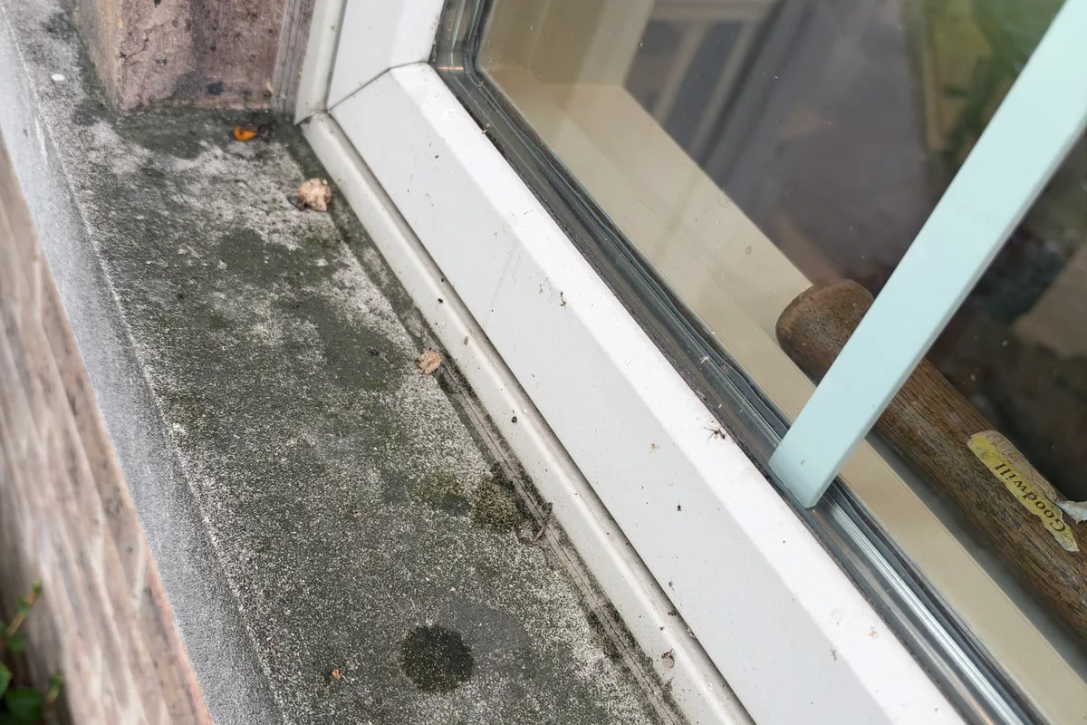 Window Washing before — Northbrook IL 2-story house