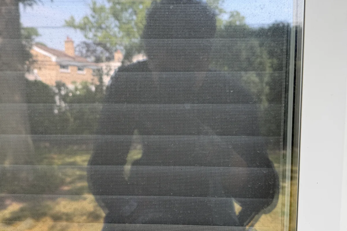 Window Washing before — Park Ridge IL 1-story house